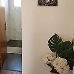 Lower Floor In Flor Do Campo - *