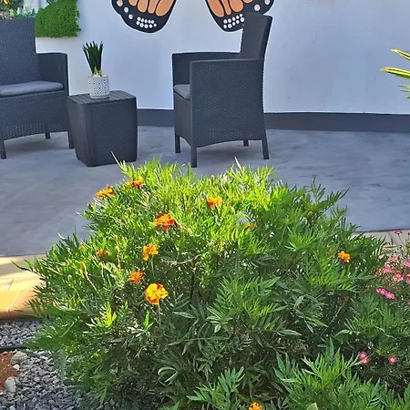 Lower Floor In Flor Do Campo - Apartmán *