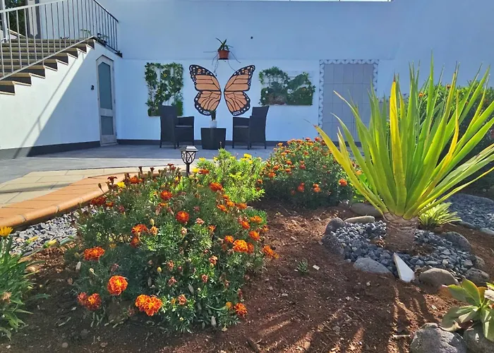 Lower Floor In Flor Do Campo - Apartament *