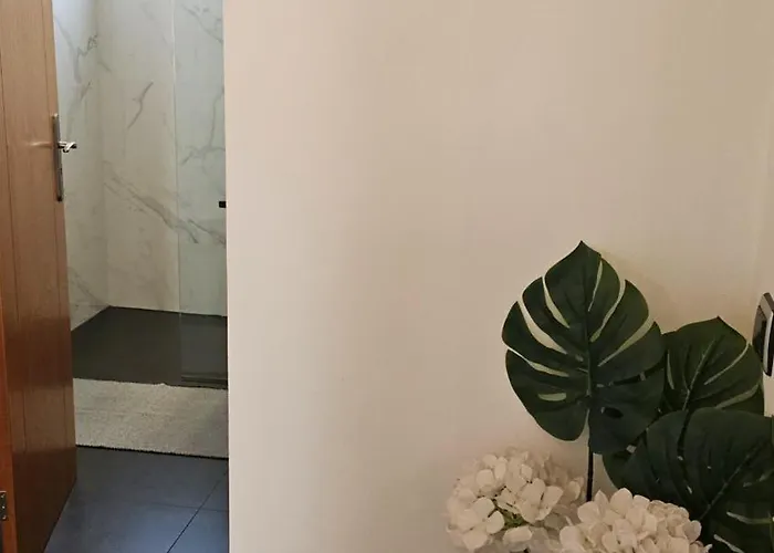 Lower Floor In Flor Do Campo - *