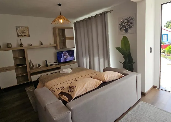 Lower Floor In Flor Do Campo - Apartament Santana (Madeira)