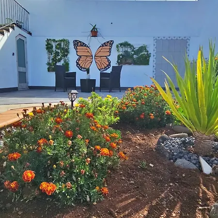 Lower Floor In Flor Do Campo - Lägenhet *