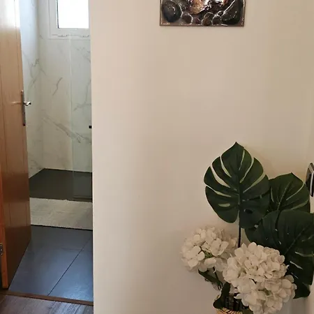 Lower Floor In Flor Do Campo - *