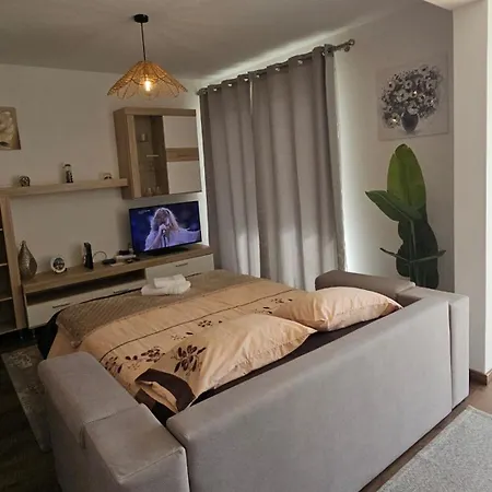 Lower Floor In Flor Do Campo - Lägenhet Santana (Madeira)