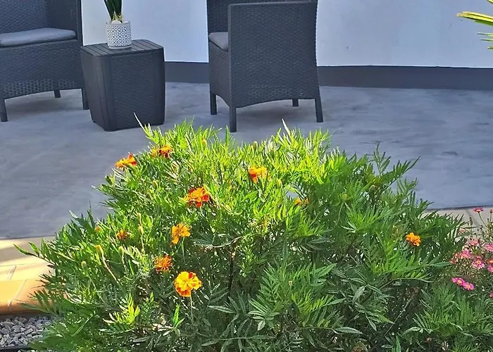 Lower Floor In Flor Do Campo - Lägenhet *