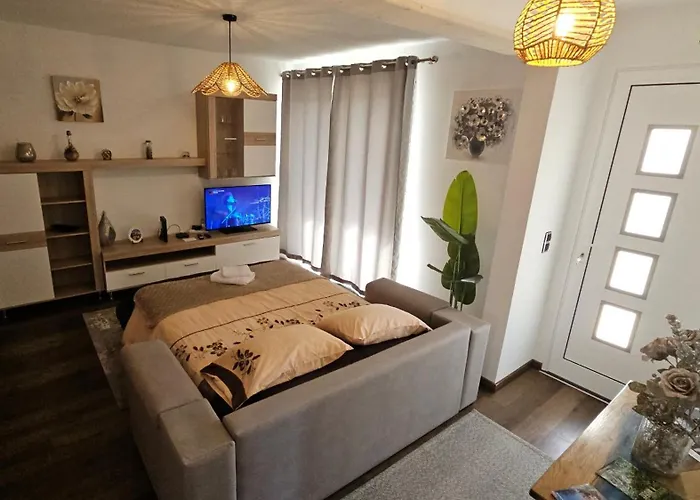 公寓 Lower Floor In Flor Do Campo -